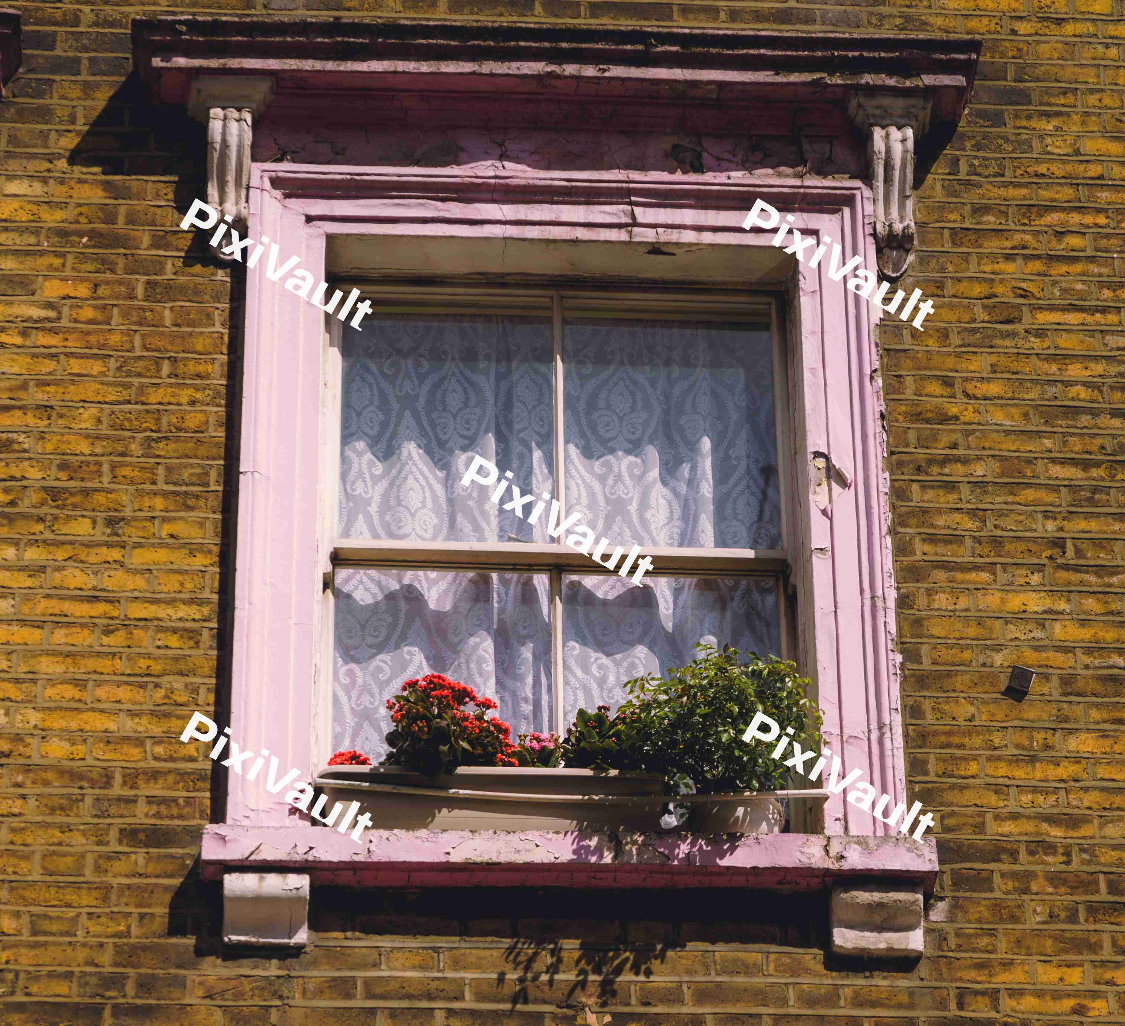Plant Pot On A Window Sill